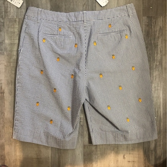 NWT 346 Brooks Brothers seer sucker short size 10 - Picture 4 of 11